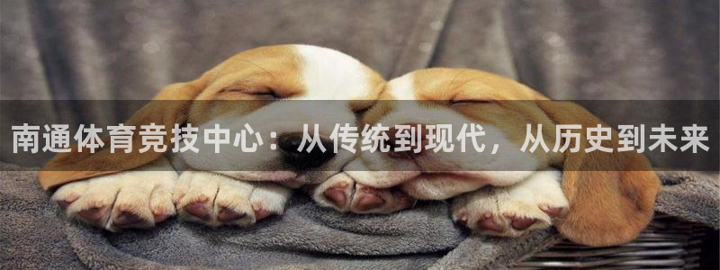 海南利记官网下载发展怎么样：南通体育竞技中心：从传统