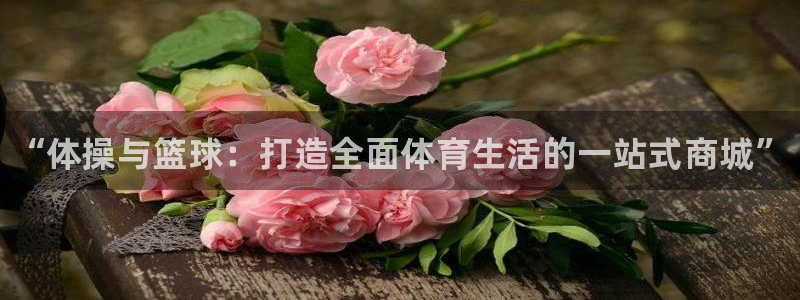 利记官网下载招商电话号码是多少：“体操与篮球：打造全