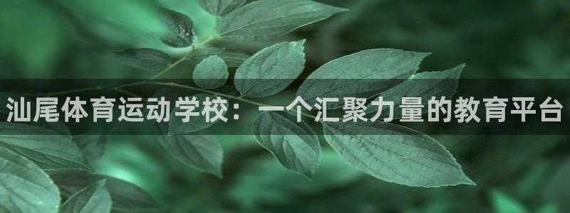 利记官网下载平台注册要钱吗安全吗：汕尾体育运动学校：