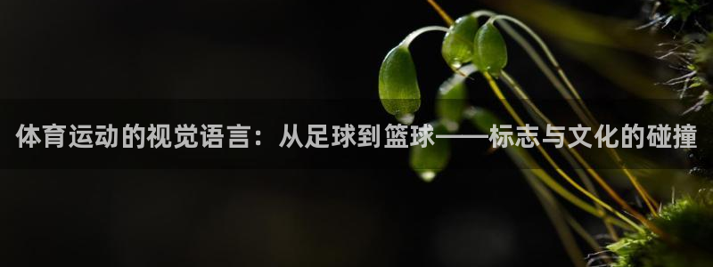 利记官方正版app开户