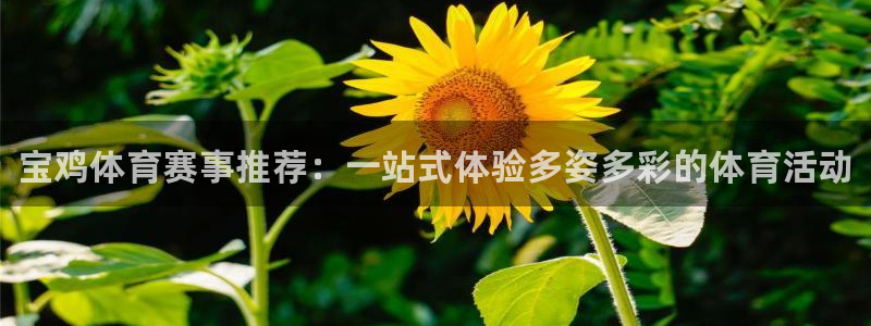 利记官网下载招商电话号码是多少：宝鸡体育赛事推荐：一