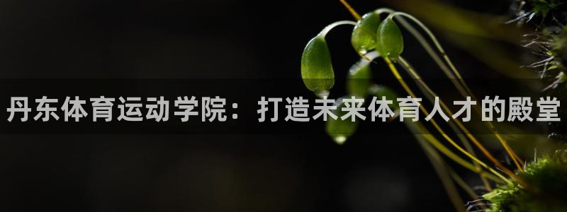 利记官网下载招商电话地址是多少：丹东体育运动学院：打造未来体