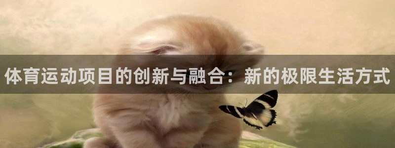 利记官网下载招商电话是多少：体育运动项目的创新与融合：新的极