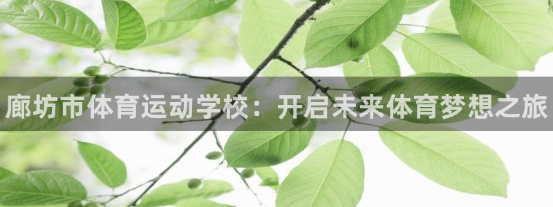 利记官方平台体育：廊坊市体育运动学校：开启未来体育梦