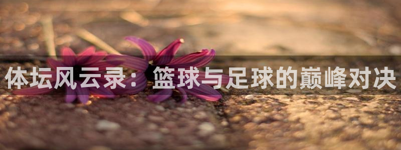 利记官方正版app娱乐：体坛风云录：篮球与足球的巅峰