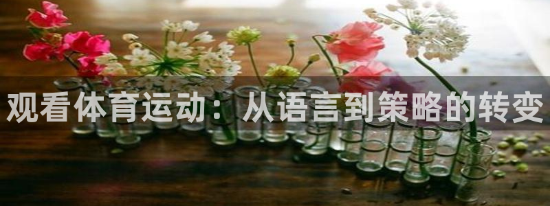 利记官方正版app娱乐网站：观看体育运动：从语言到策