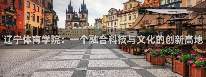 注册利记官方正版app：辽宁体育学院：一个融合科技与文化的创