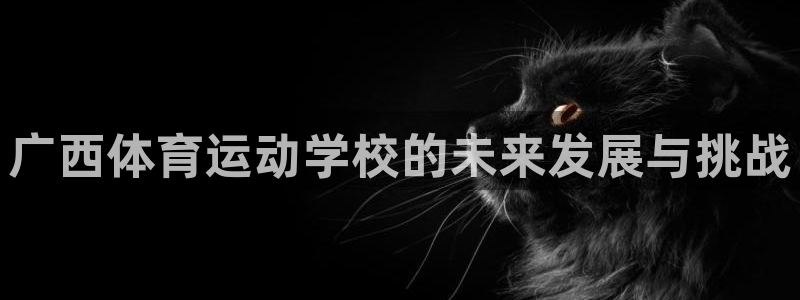 利记官网下载联系电话：广西体育运动学校的未来发展与挑