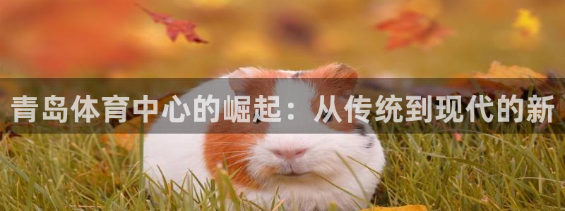 利记官网下载平台注册：青岛体育中心的崛起：从传统到现