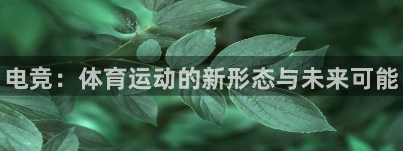 利记官方正版app娱乐首页网站大全：电竞：体育运动的