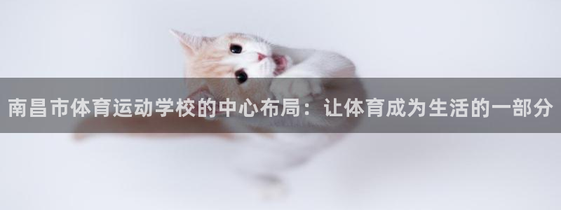 利记官方正版app新能源：南昌市体育运动学校的中心布
