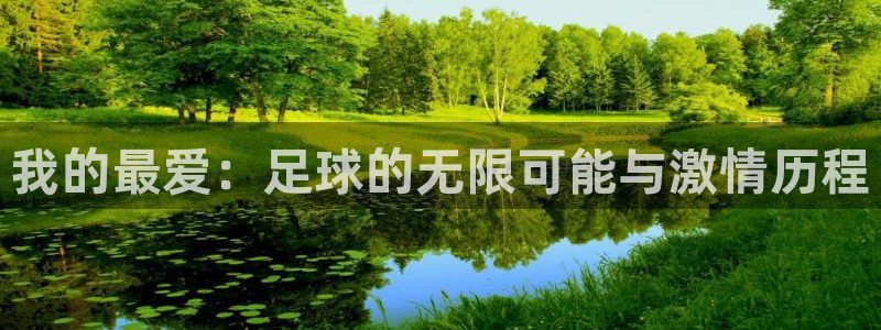 利记官网下载招商电话号码是多少号：我的最爱：足球的无限可能与