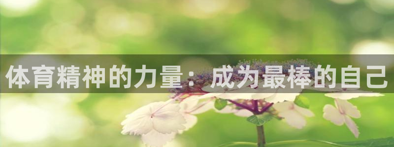 利记官方正版app代理：体育精神的力量：成为最棒的自己