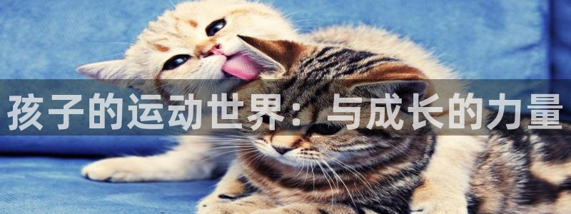 利记官方正版app官方：孩子的运动世界：与成长的力量
