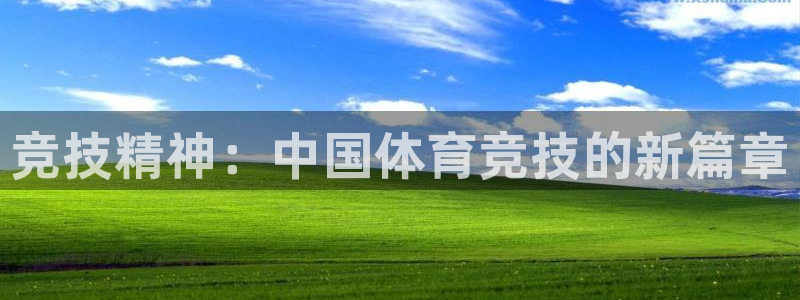 利记官网下载招商电话：竞技精神：中国体育竞技的新篇章
