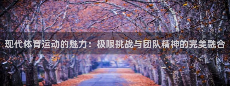 利记官方正版app代理：现代体育运动的魅力：极限挑战与团队精