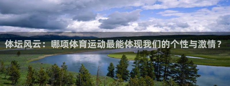 利记官方正版app娱乐代理怎么样：体坛风云：哪项体育运动最能