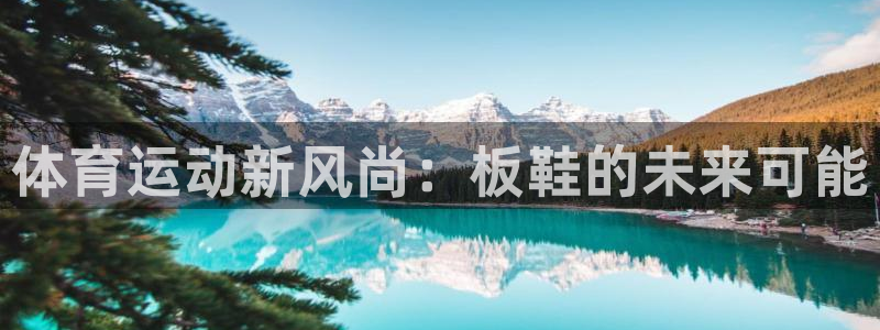 利记官方正版app娱乐首页网站大全：体育运动新风尚：板鞋的未