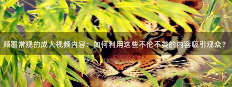 飞速体育nba直播吧：颠覆常规的成人视频内容：如何利用这些不伦不类的内容吸引观众？