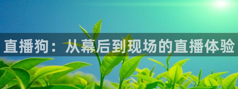飞速直播体育在线直播：直播狗：从幕后到现场的直播体验