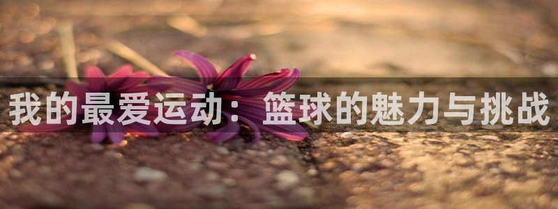 利记88备用网址