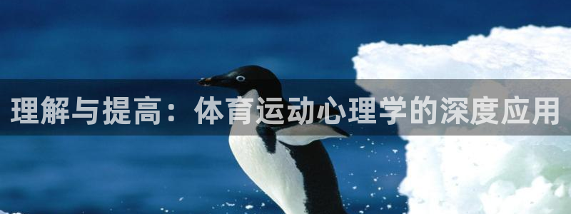 利记SBOBET网页版：理解与提高：