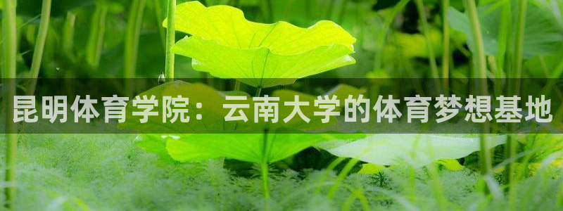 利记官方网站是多少：昆明体育学院：云