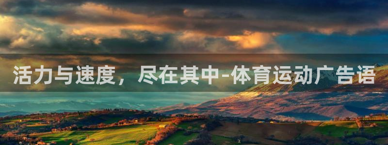 利记的开盘特点：活力与速度，尽在其中