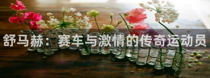 利记sbobet：舒马赫：赛车与激情