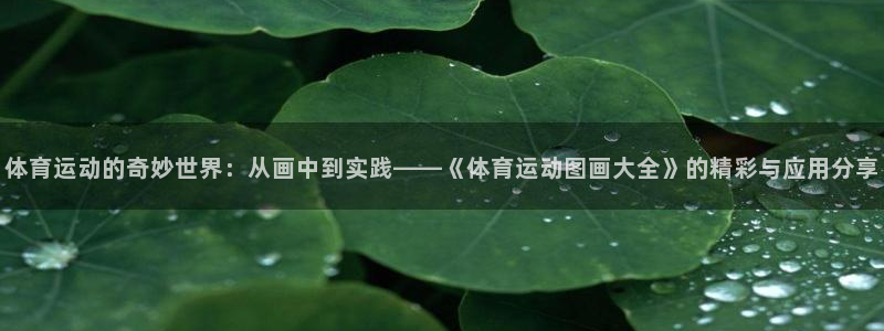利记农庄电话：体育运动的奇妙世界：从