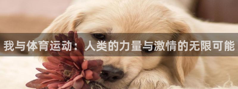 利记官网