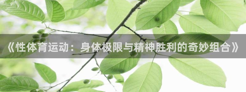 利记官网入口