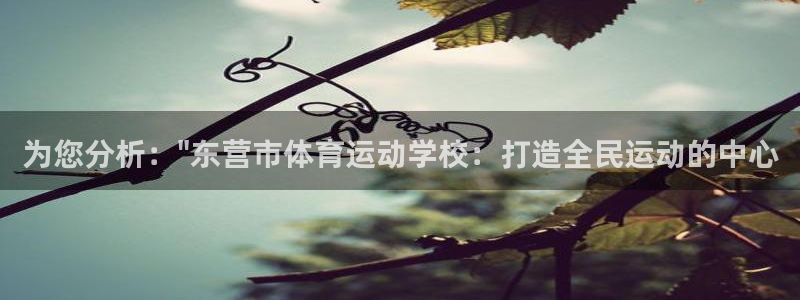 利记注册平台