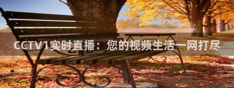 飞速体育直播app下载：CCTV1实时直播：您的视频生活一网打尽