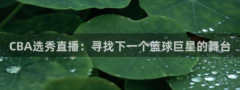 飞速无插件体育直播：CBA选秀直播：寻找下一个篮球巨星的舞台
