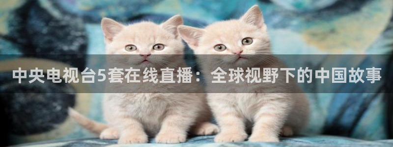 jrs飞速直播：中央电视台5套在线直播：全球视野下的中国故事