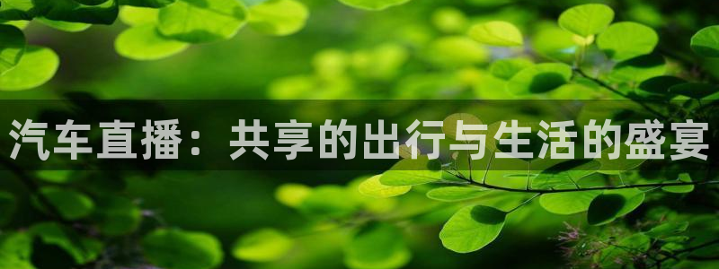 飞速nba免费直播：汽车直播：共享的出行与生活的盛宴