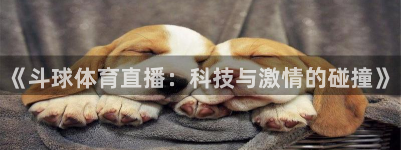 nba无插件飞速直播：《斗球体育直播：科技与激情的碰撞》