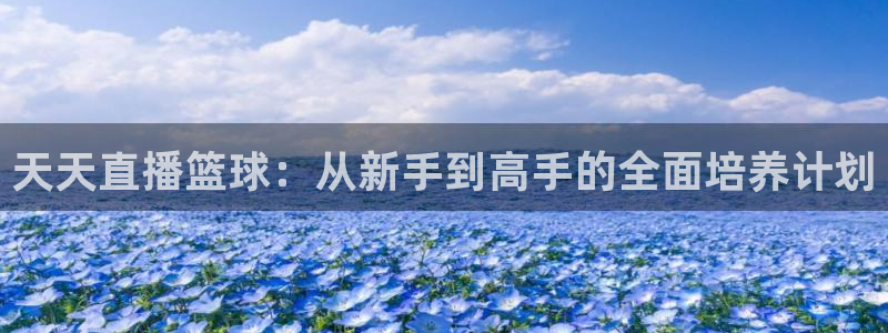 nba无插件直播飞速体育直播：天天直播篮球：从新手到高手的全面培养计划