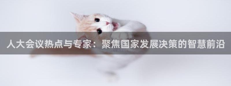 飞速直播体育nba在线直播：人大会议热点与专家：聚焦国家发展决策的智慧前沿