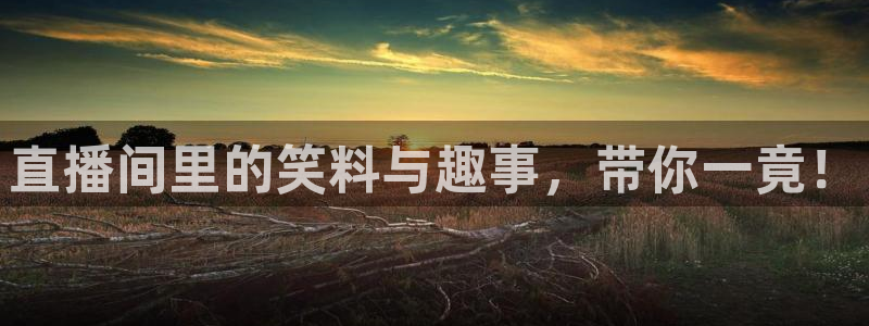 飞速极速体育直播：直播间里的笑料与趣事，带你一竟！